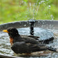 🔥LAST DAY SALE ￡9.99!!🔥Upgraded Solar Powered Water Fountain Pump With Accessories