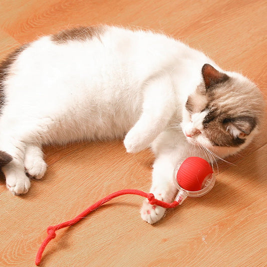 🐱🎁New Hot Sales🐶Smart Automatic Rolling Pet Ball