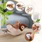 🐈Endless Fun🐕Interactive Chirping & Flapping Toy for Pets💕