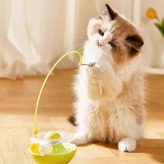 🐱Cat entertainment 3-in-1 toys, turntable ball + tumbler + cat stick🔔🌿