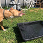 🔥LAST DAY SALE ￡9.99!!🔥Upgraded Solar Powered Water Fountain Pump With Accessories