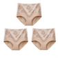 Buy 1 Get 3 Packs🔥Seamless High Waist Tummy Control Leak proof Panties