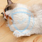 🔥Buy More Save More🔥Interactive Cat Bouncy Ball with Feather