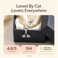 🥳2026 HOT SALE🥳 BUY 1 GET 1 FREE💖🐾 50% OFF!🐱S925 Cute Cat Paw Earrings